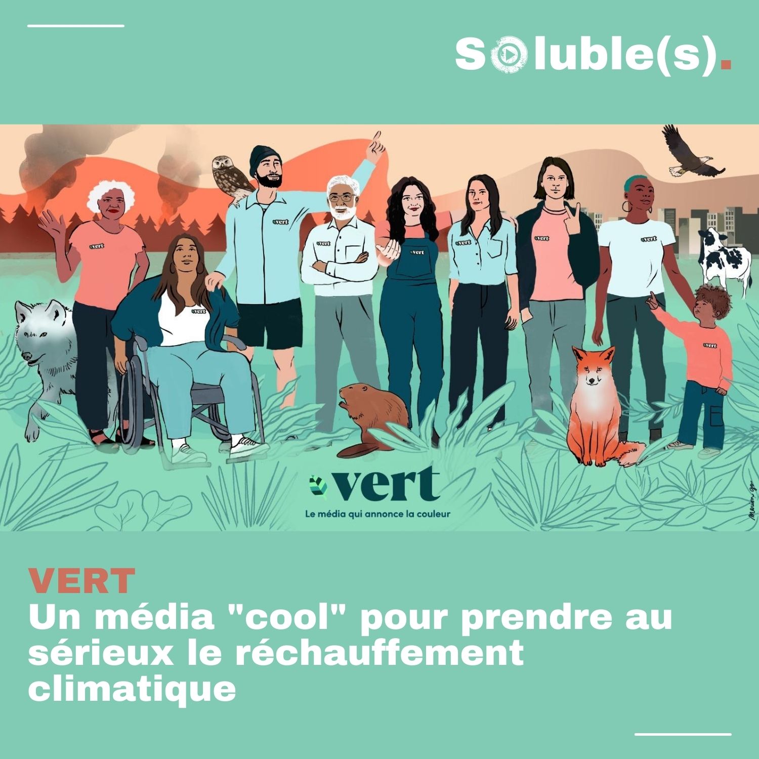 C Est Vert Top 7