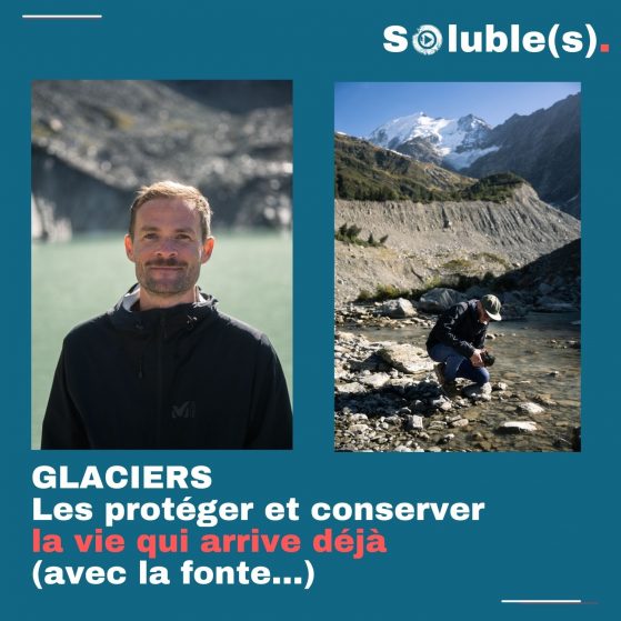 GLACIERS : Les protéger et conserver la vie qui arrive déjà (avec la fonte…)