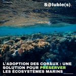 Pochette de l’épisode Soluble(s) avec Jeimila Donty