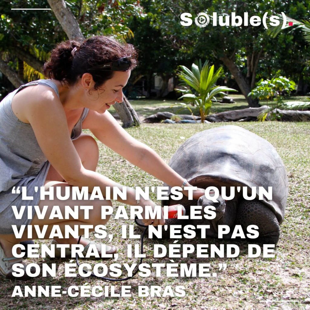 Visuel Soluble(s) montrant Anne-Cécile Bras caressant une tortue géante sur une pelouse dans un jardin tropical, avec la citation : "L'humain n'est qu'un vivant parmi les vivants, il n'est pas central, il dépend de son écosystème." — Anne-Cécile Bras